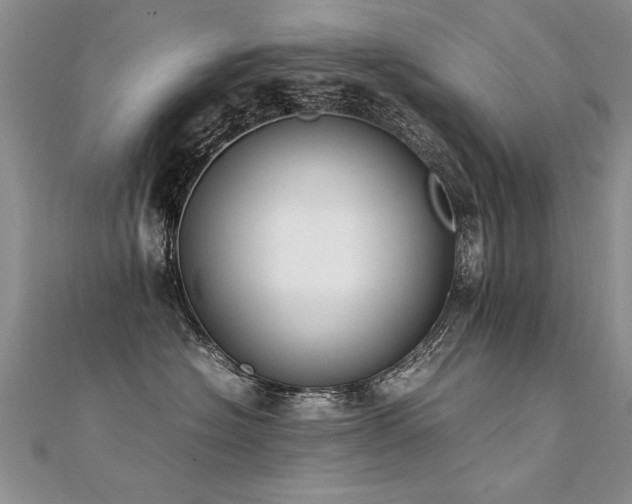 X0000112410574200908141403