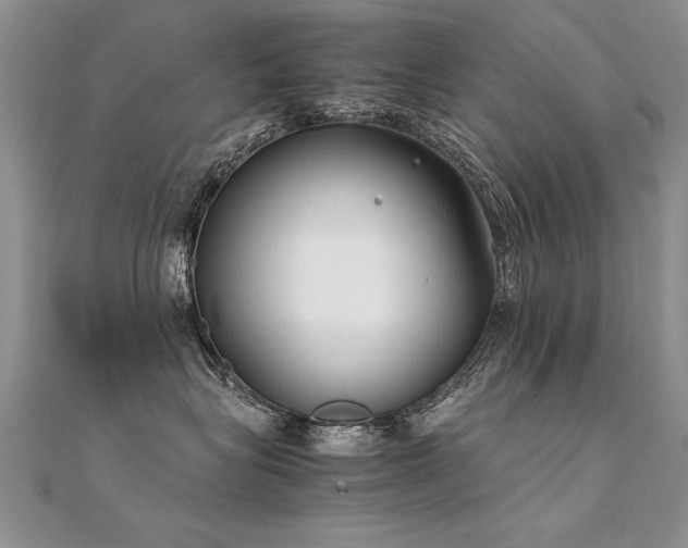 X0000112410575200908141403