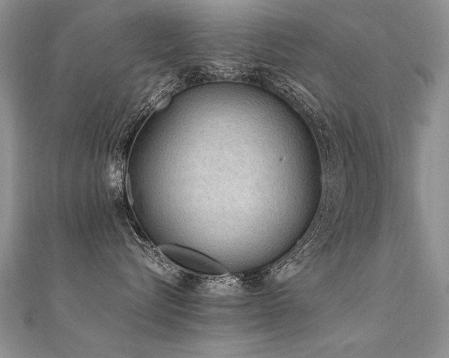 X0000112410576200908141403