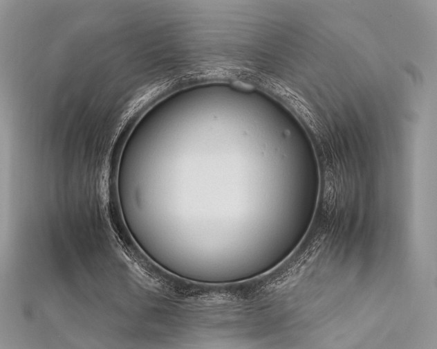 X0000112410578200908141403
