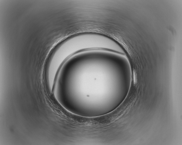 X0000112410579200908141403