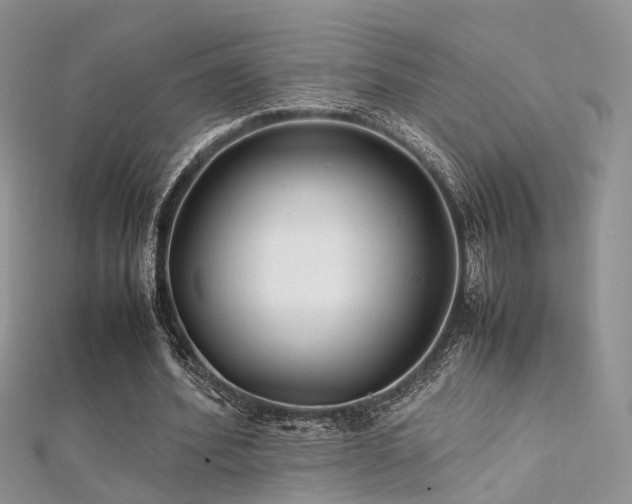 X0000112410580200908141402