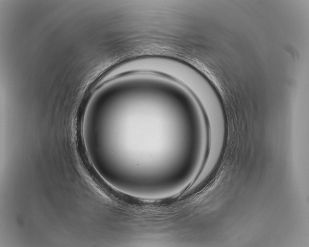 X0000112410581200908141402