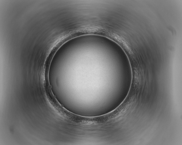 X0000112410582200908141402
