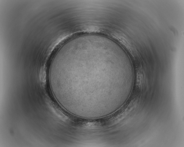 X0000112410584200908141402