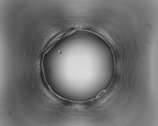X0000112410585200908141402
