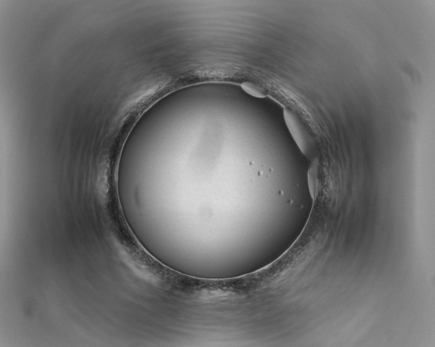 X0000112410586200908141402