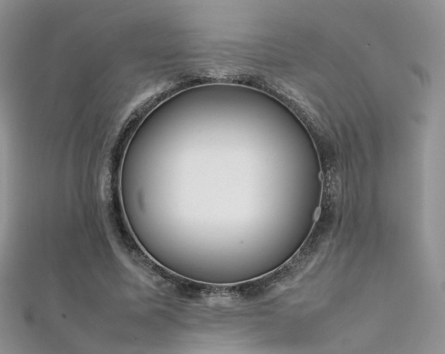 X0000112410587200908141402