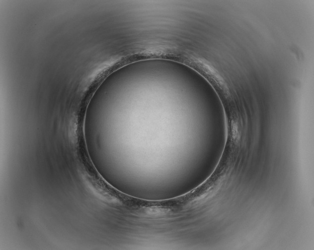 X0000112410588200908141402