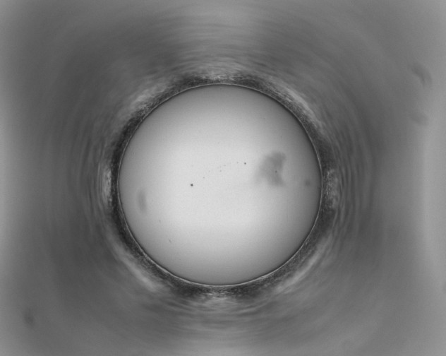X0000112410589200908141402