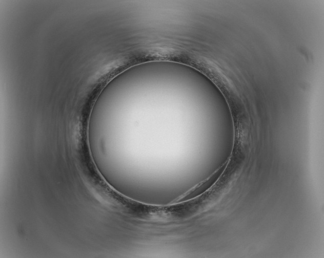 X0000112410591200908141402