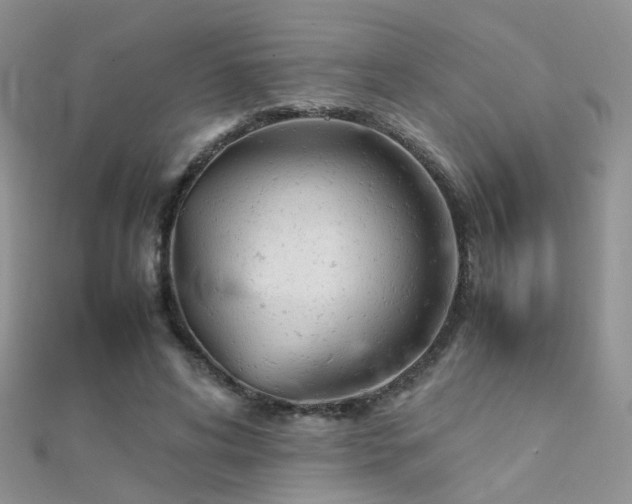 X0000112410592200908141402