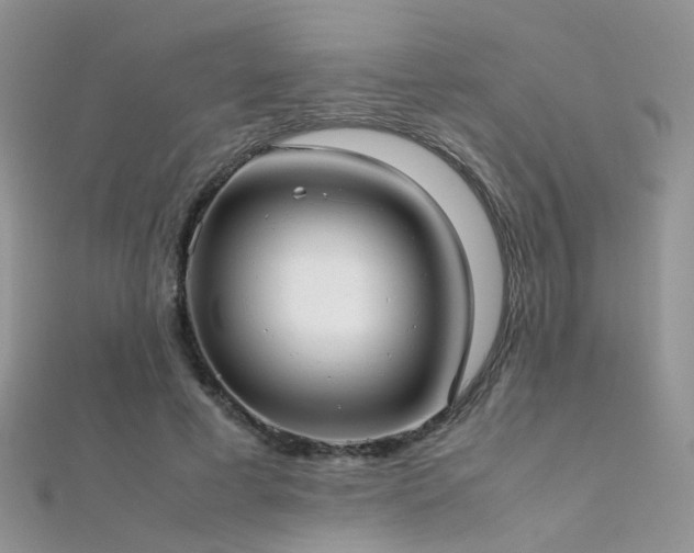 X0000112410593200908141402