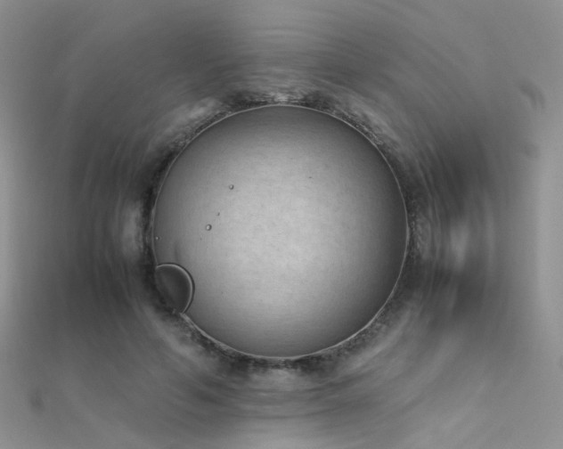 X0000112410594200908141402