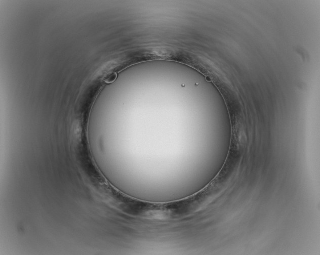 X0000112410595200908141402