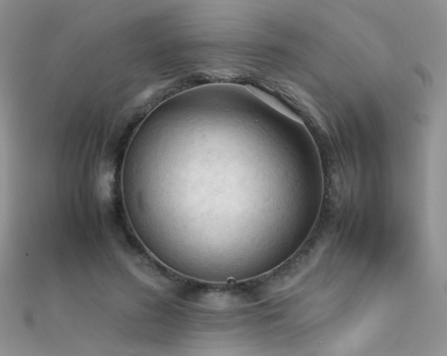 X0000112410596200908141402