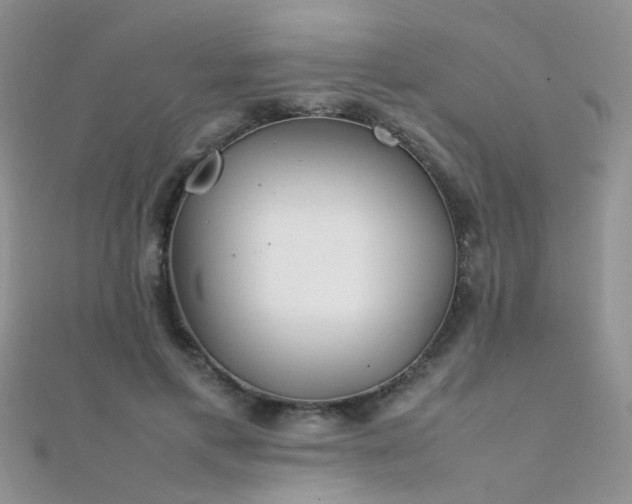 X0000112410597200908141402