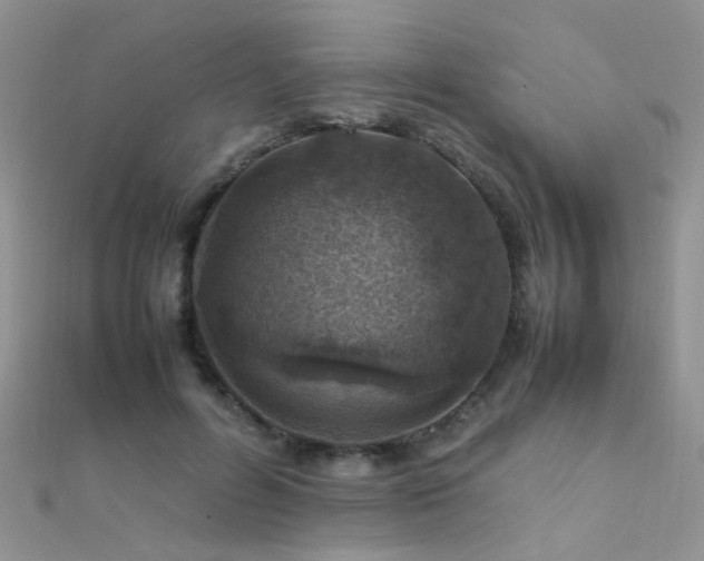 X0000112410600200908141402