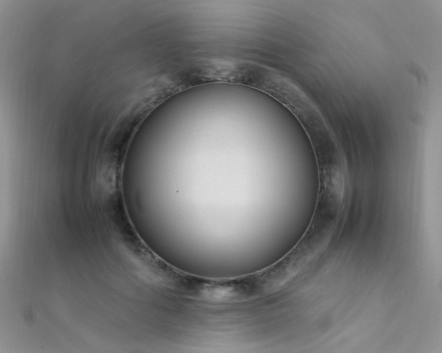 X0000112410602200908141402