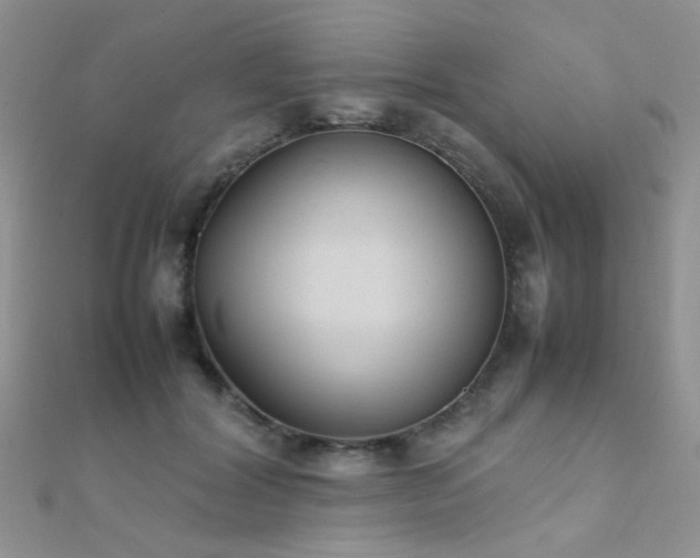 X0000112410604200908141402
