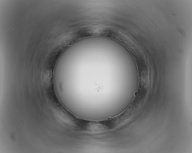 X0000112410605200908141402