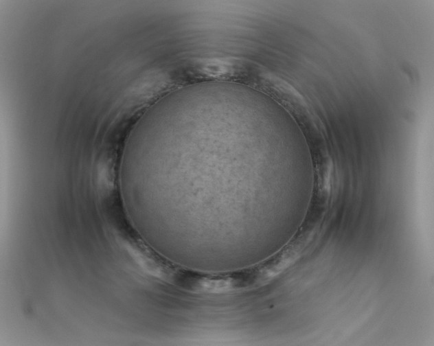 X0000112410606200908141402