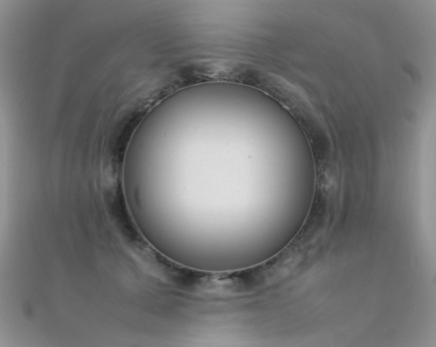 X0000112410607200908141402