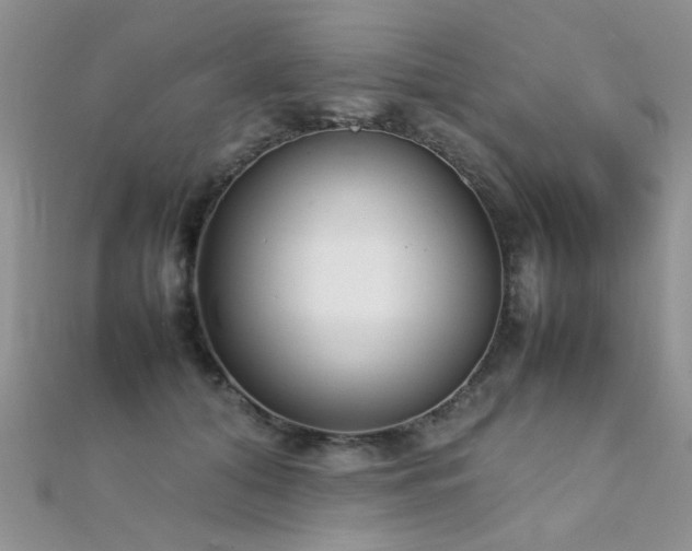 X0000112410608200908141402