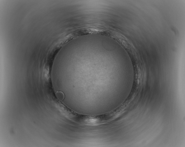 X0000112410610200908141402