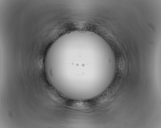 X0000112410611200908141402