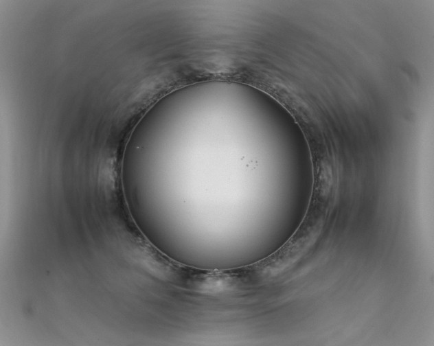 X0000112410612200908141402