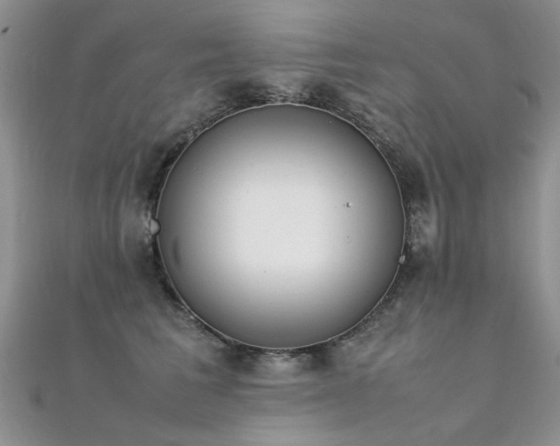 X0000112410613200908141402