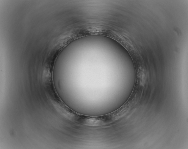 X0000112410614200908141402