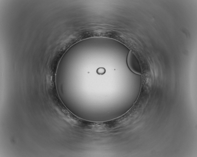 X0000112410615200908141402