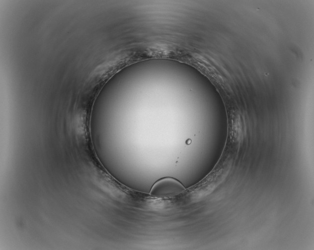 X0000112410616200908141402