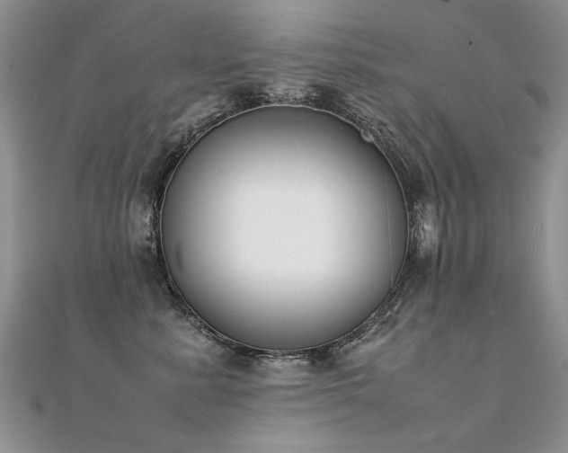 X0000112410619200908141402