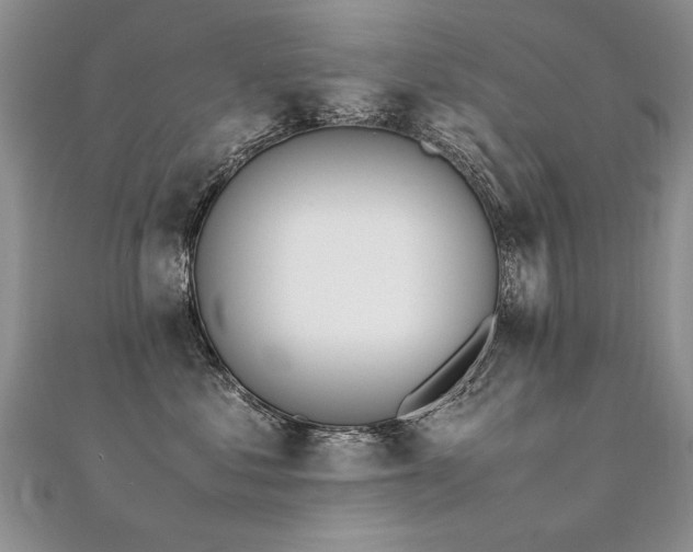 X0000112410621200908141402