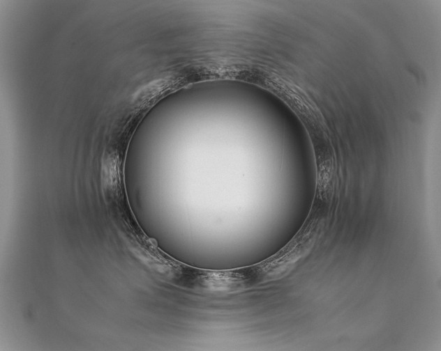 X0000112410623200908141402
