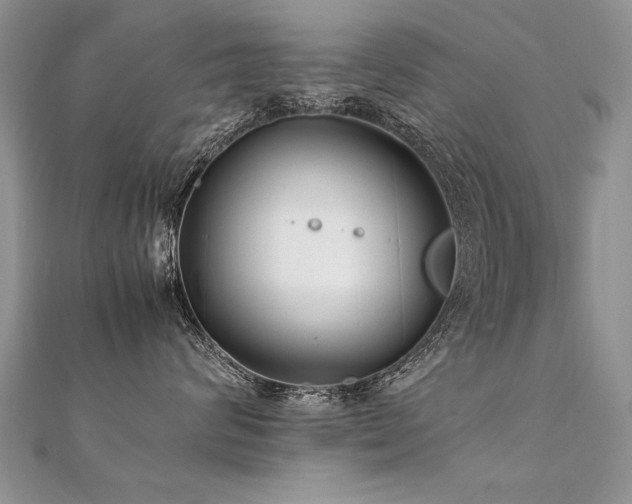 X0000112410624200908141402