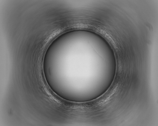 X0000112410625200908141401
