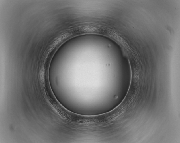 X0000112410626200908141401