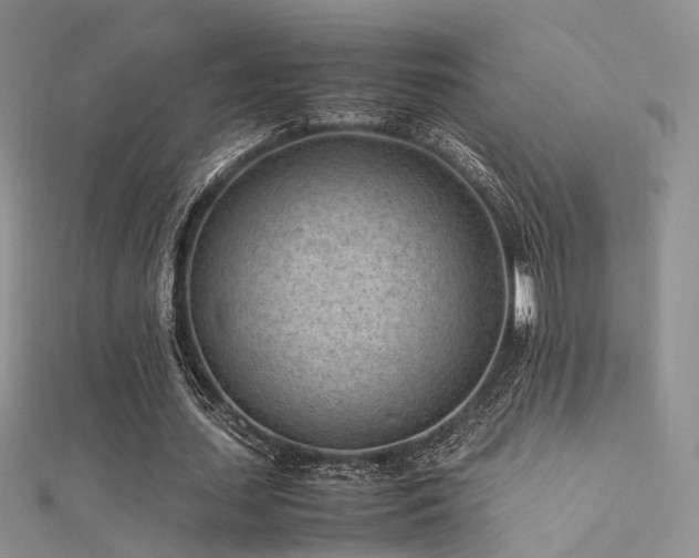 X0000112410627200908141401