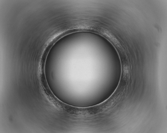 X0000112410628200908141401