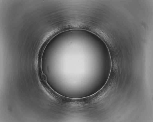 X0000112410630200908141401