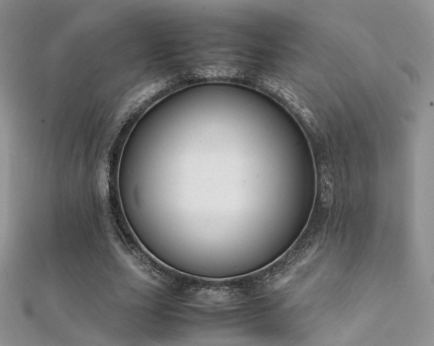 X0000112410631200908141401