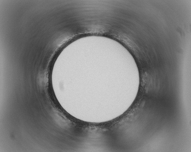 X0000112410632200908141401