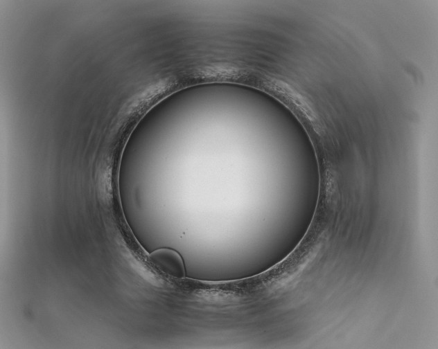 X0000112410633200908141401