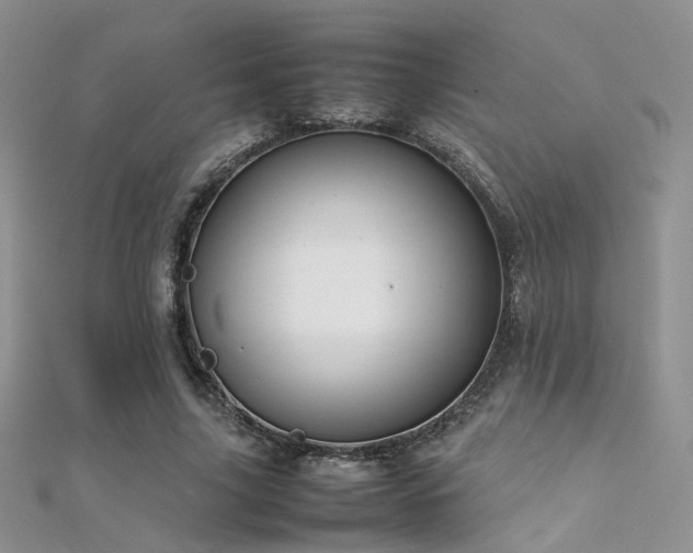 X0000112410635200908141401