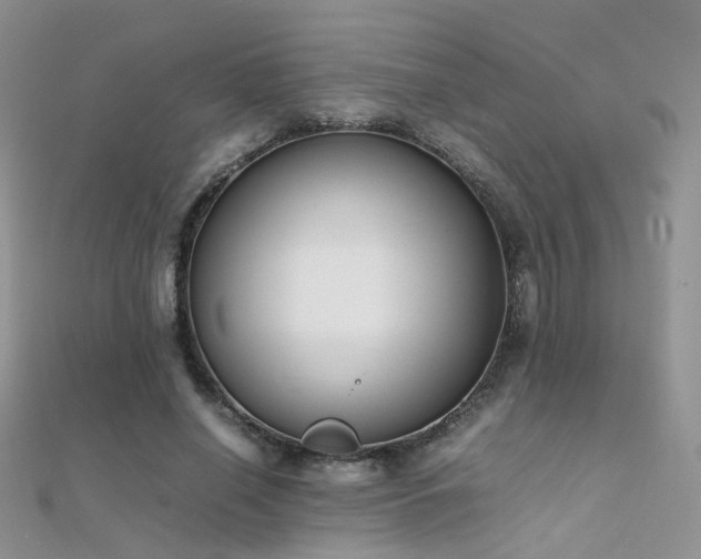 X0000112410638200908141401