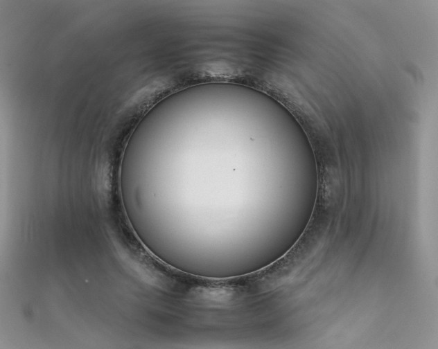 X0000112410639200908141401